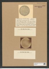 Actinocyclus complanatus Castr. (de-Toni-Nr.: Genus 195, Species 4772) Zeichnungen Sammlung Grunow Nr. 8407 (NHMW-BOT-W0377847)